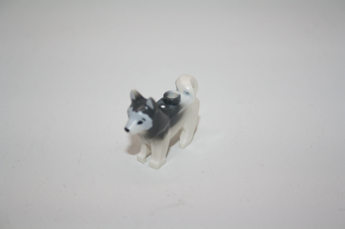 LEGO® - Hund - Husky - weiß/grau - Tiere - Hunde