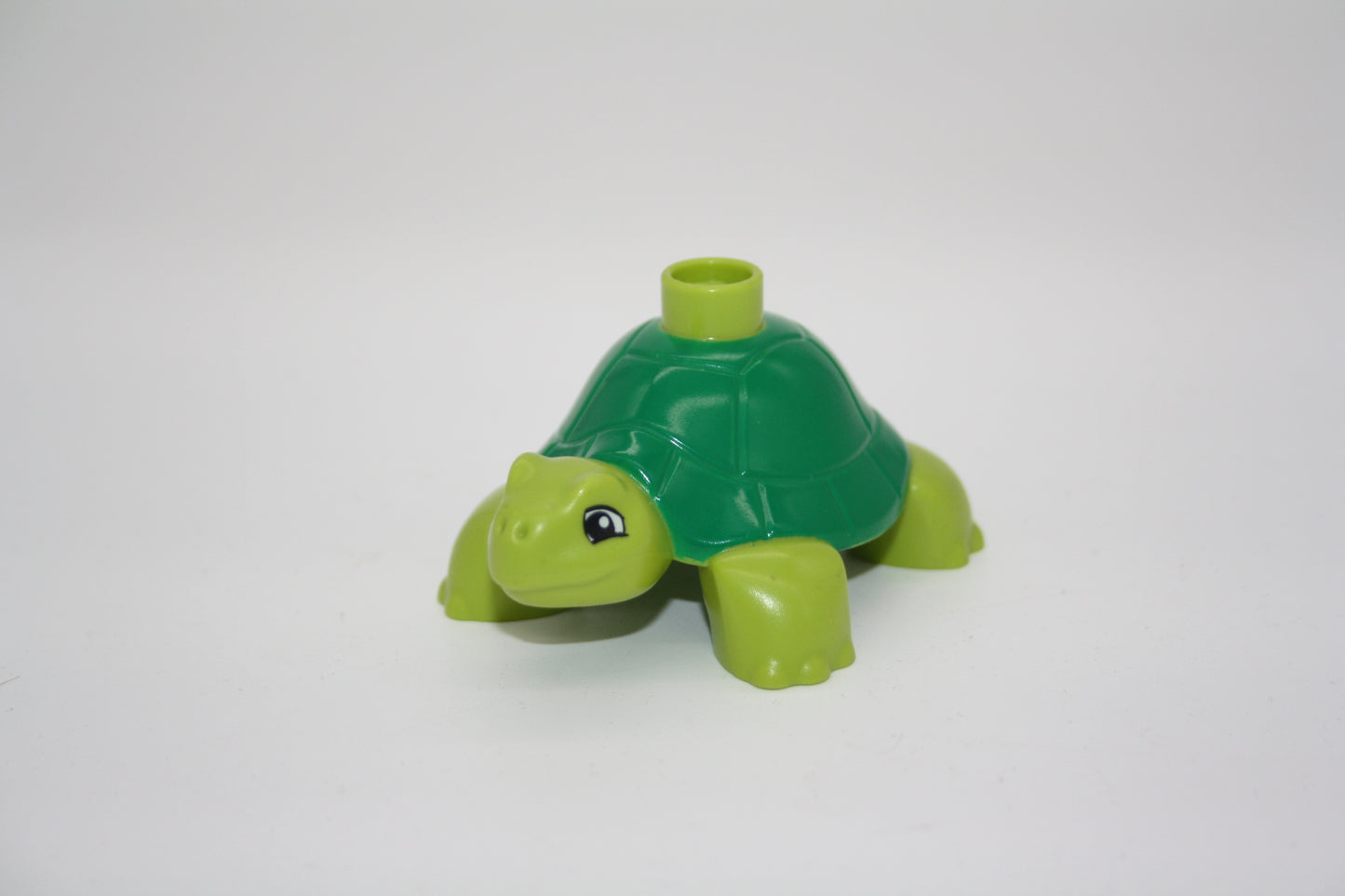 Duplo - Schildkröte - Tiere - Zoo - Meerestiere