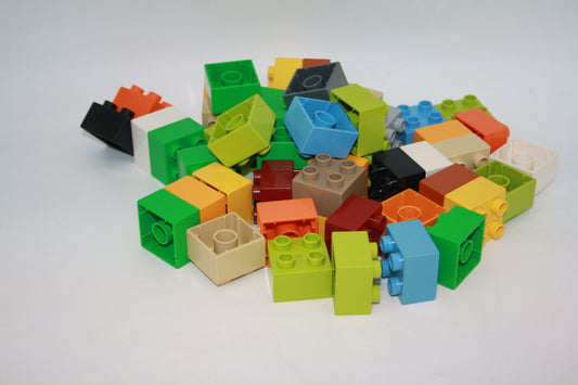 Duplo - 50x 4er Steine - nur neue Farben (2x2 Noppen) - Sparpaket