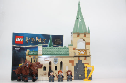 LEGO® - Harry Potter Set - 76387 Begegnung mit Fluffy - inkl. BA