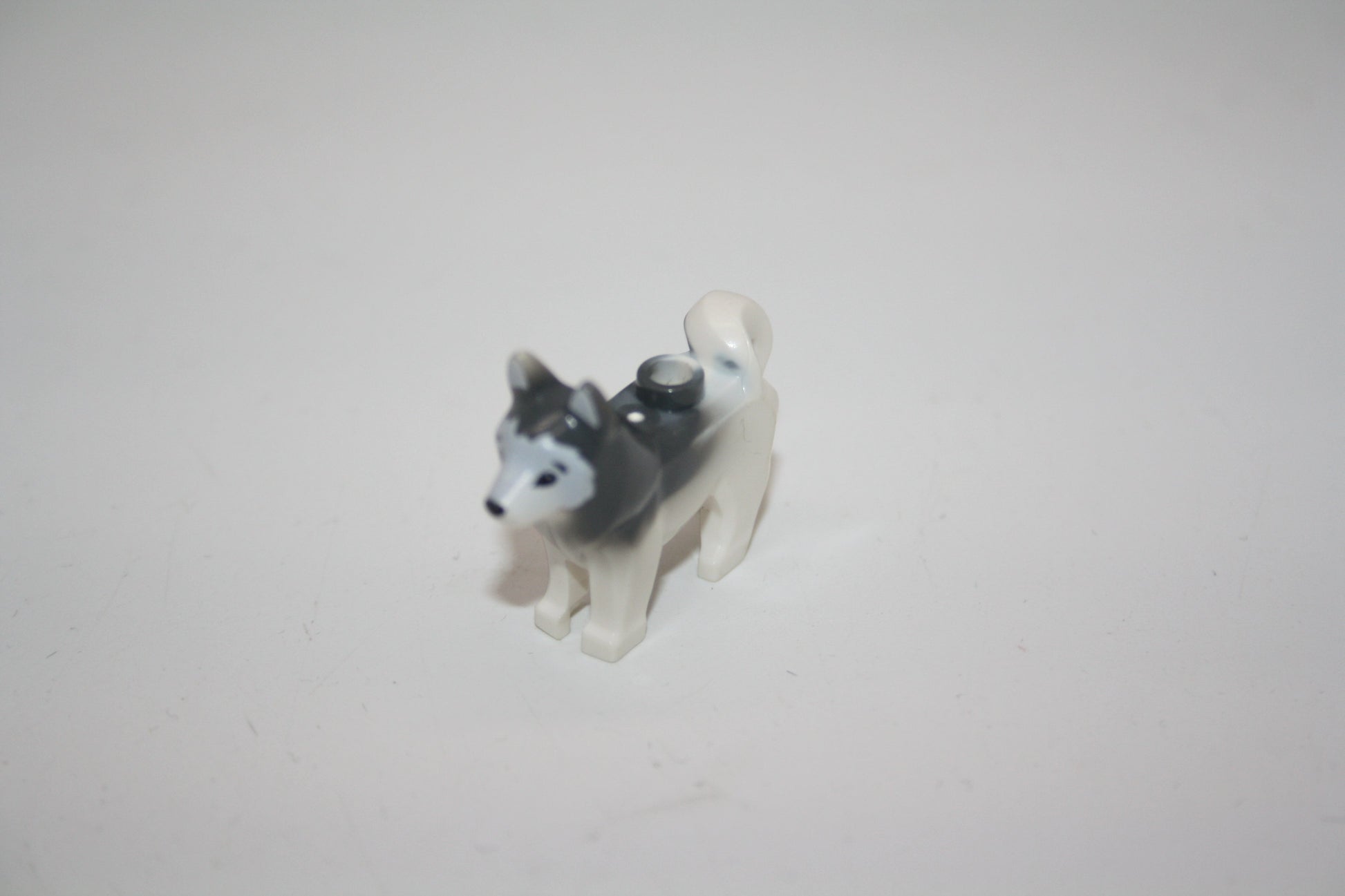 LEGO® - Hund - Husky - weiß/grau - Tiere - Hunde