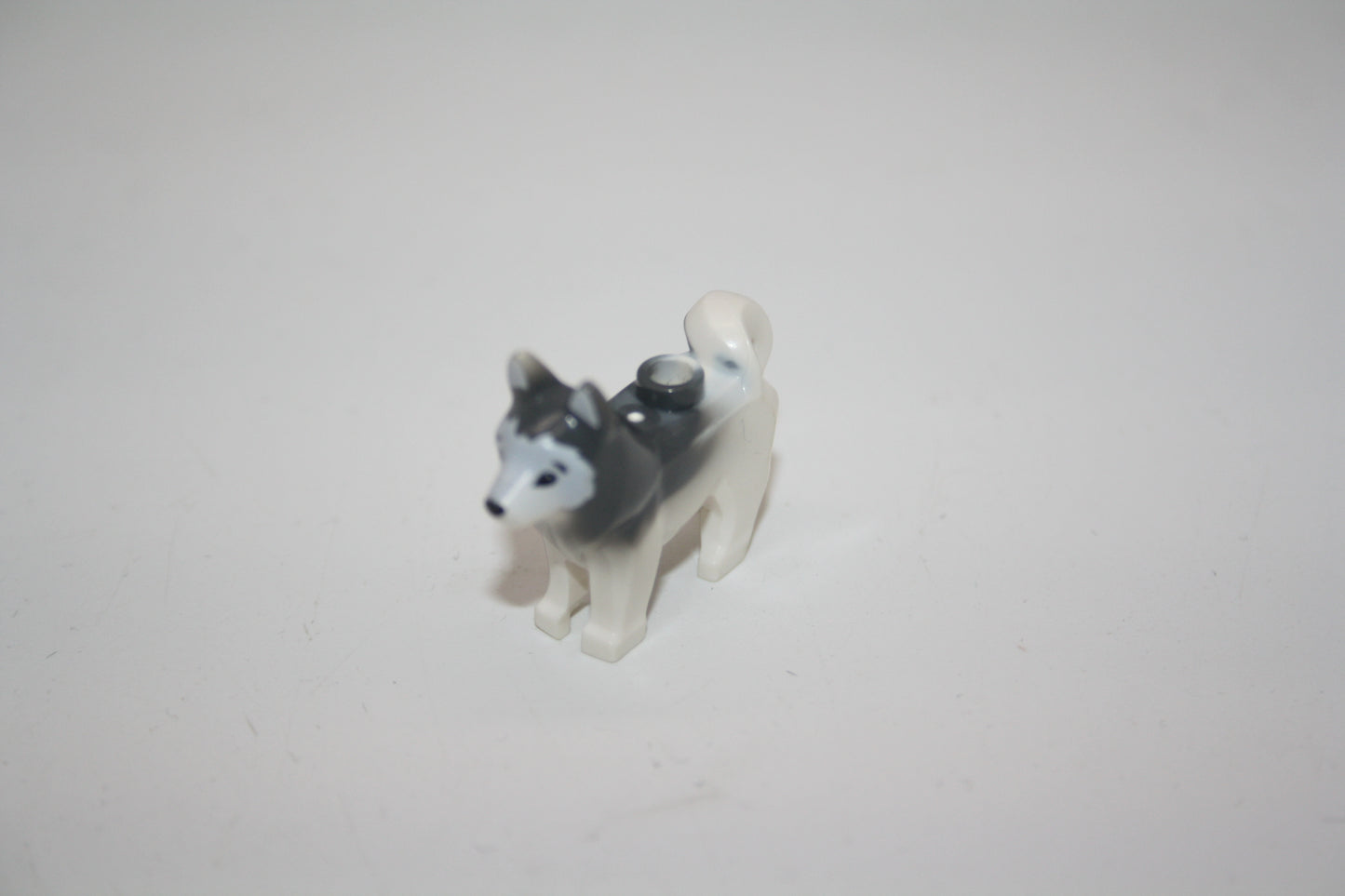 LEGO® - Hund - Husky - weiß/grau - Tiere